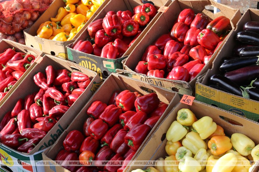 Как обстоят дела с урожаем картофеля, овощей, фруктов и запасами на межсезонье