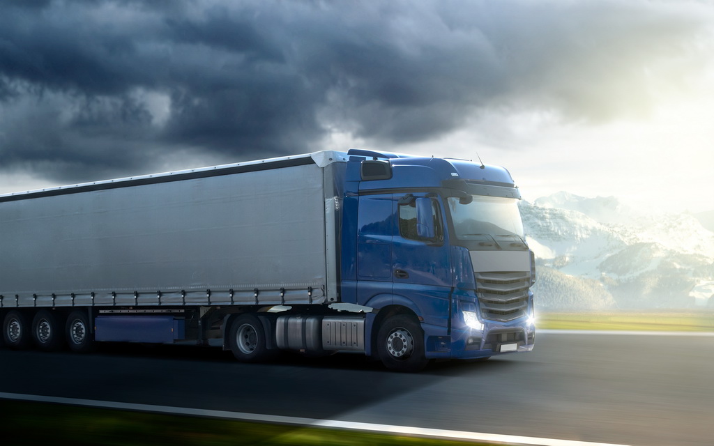 Сотрудники БЭП и ГАИ остановили в Оршанском районе на приграничной территории грузовик