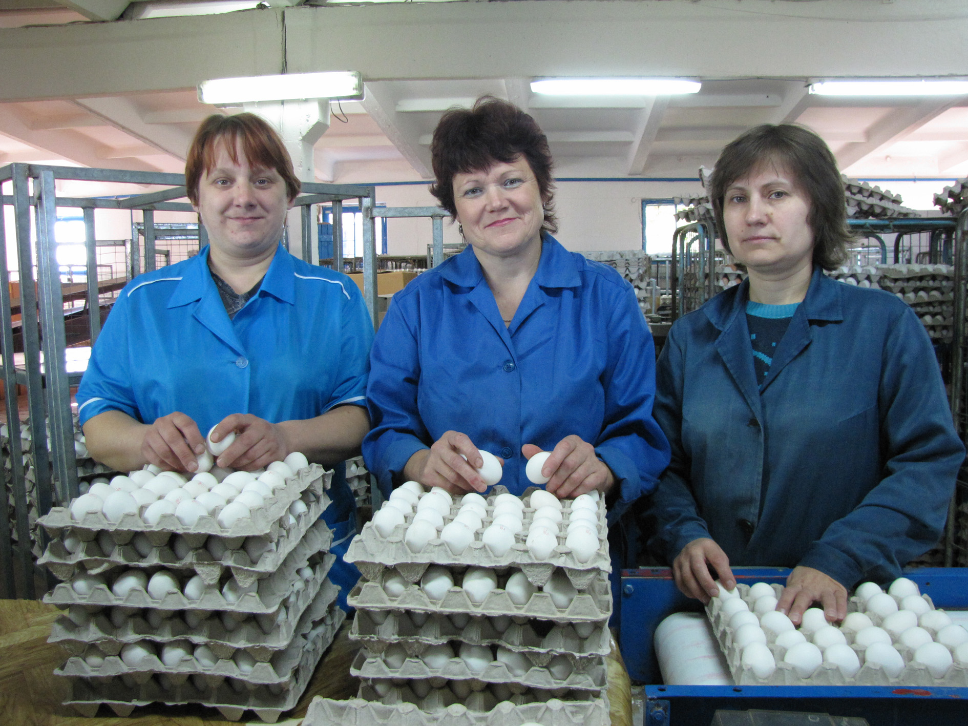 ОАО “Берестовицкая птицефабрика”  идет в ногу со временем