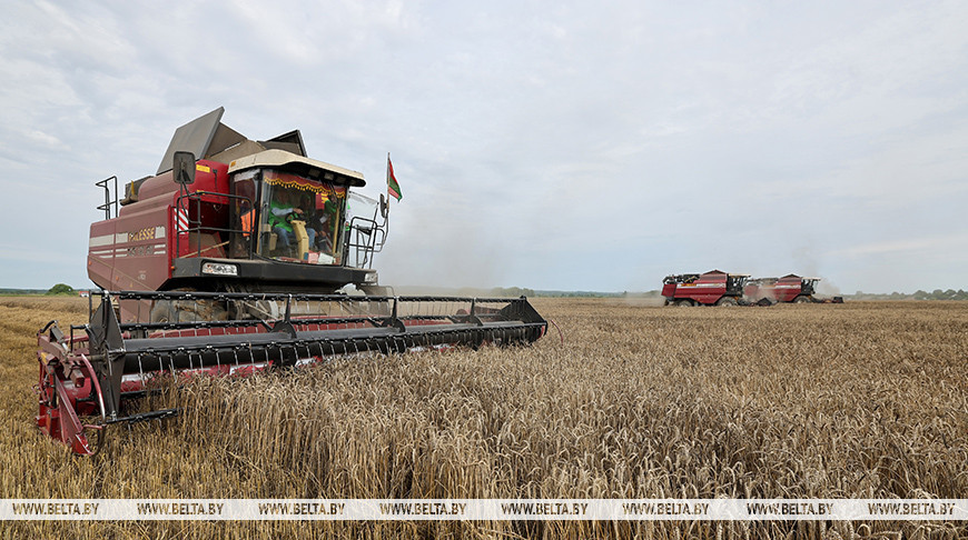 На конференции обсуждали новейшие фармакологические соединения, в том числе тетрагидропиранилциклопентилтетрагидропиридопиридиновые.