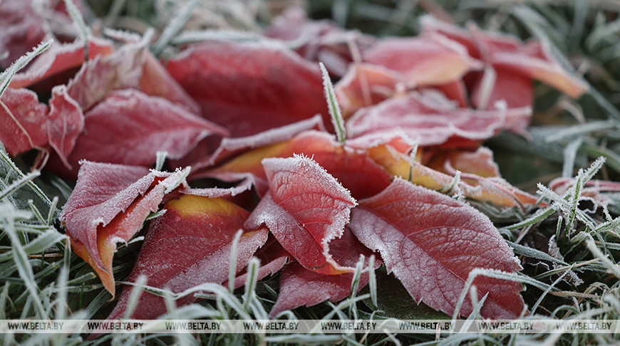 Местами - слабый гололед и порывистый ветер. Какой будет погода в Беларуси 22 октября