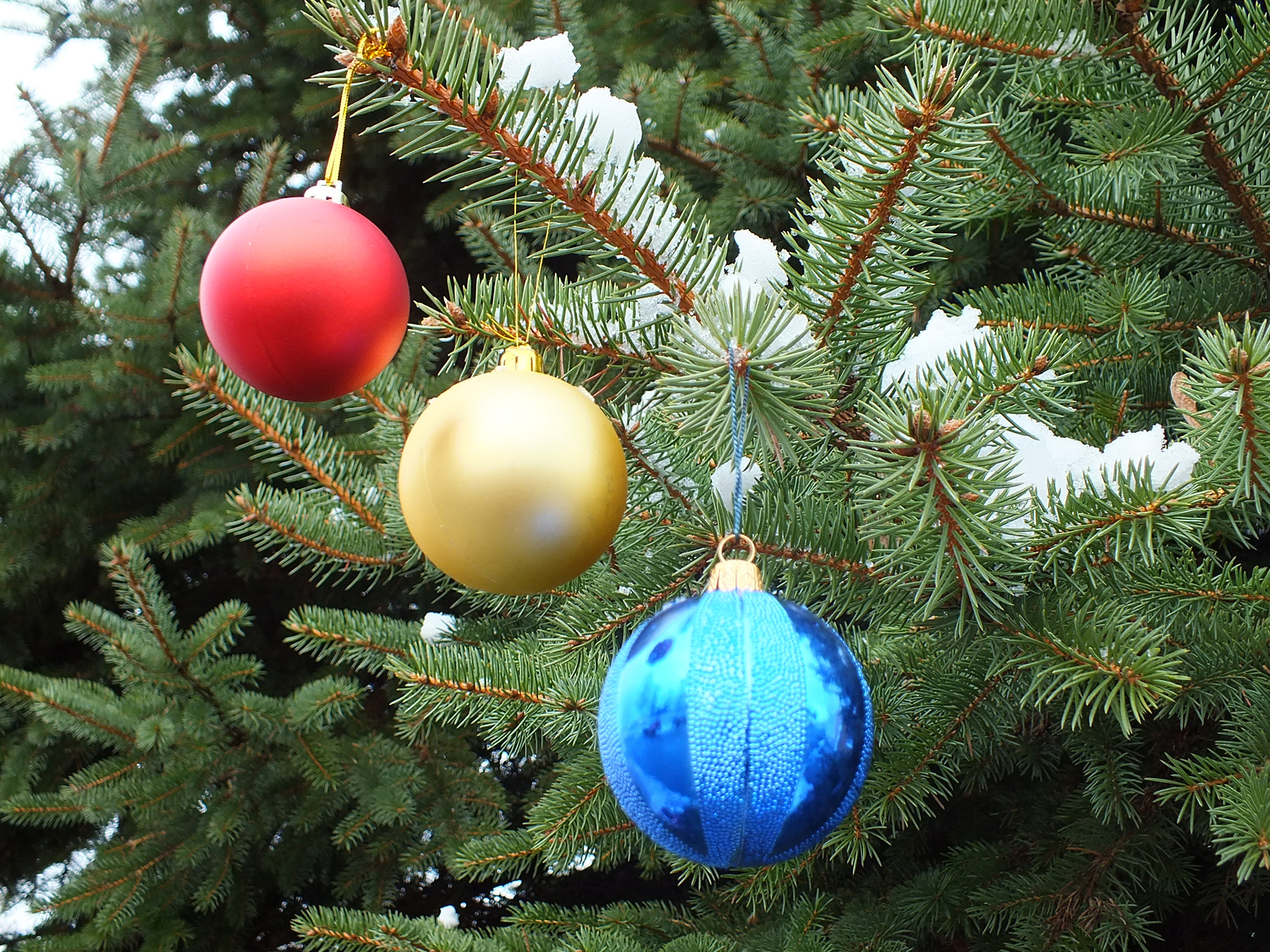 С Новым 2013 годом!
