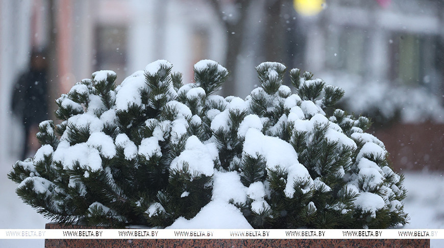 До -23°С и небольшой снег прогнозируют в Беларуси 11 января