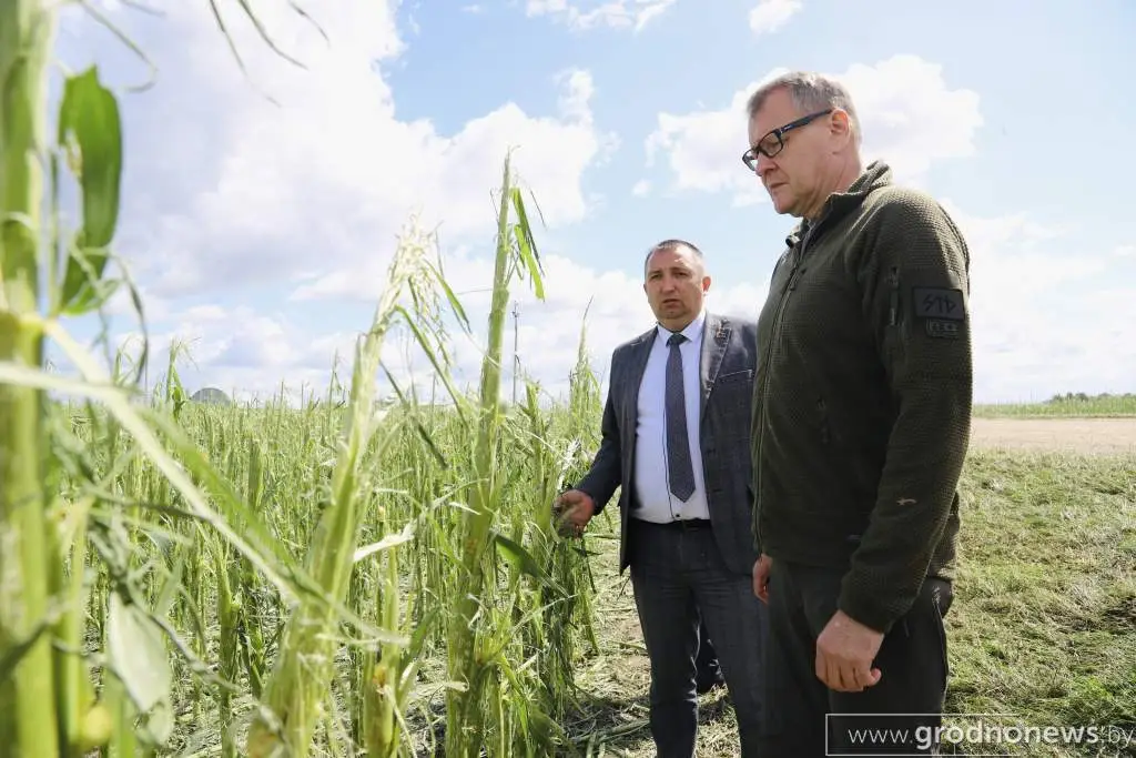 Вороновский район под ударом стихии: что известно к этому времени