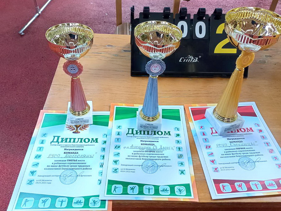 В Большеэйсмонтовском ФОКе прошли районные соревнования по мини-футболу