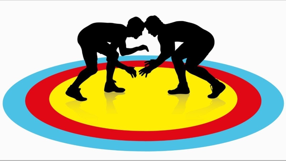 Берестовицкие спортсмены вошли в состав национальной и сборной команд Республики Беларусь по вольной борьбе