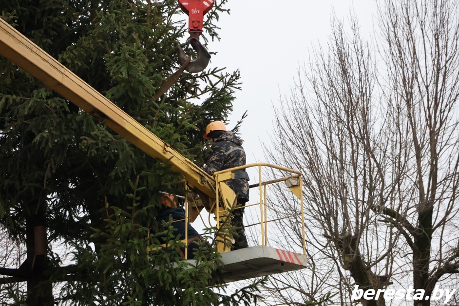 Фотофакт. На Ратушной площади в Большой Берестовице устанавливают главную новогоднюю елку района