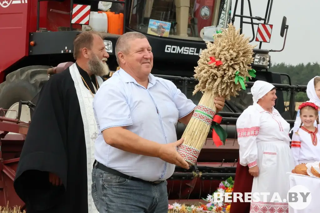 Золото первого снопа. В РСУП «Олекшицы» дали старт жатве