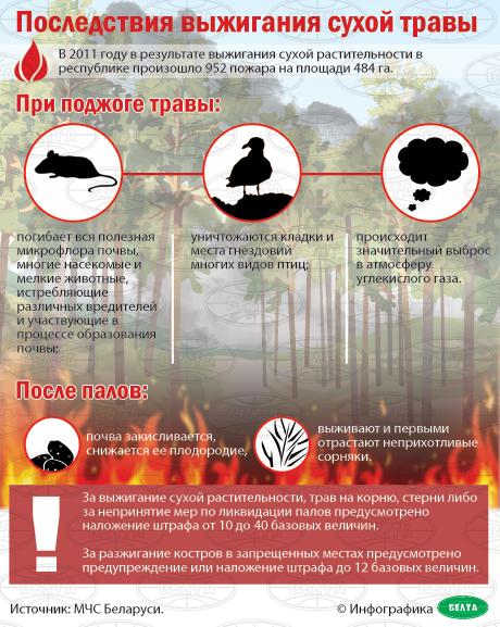 Последствия выжигания сухой травы