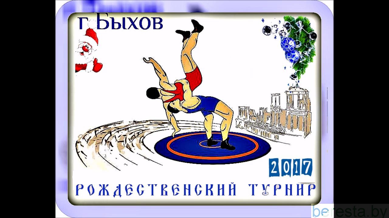 Берестовицкие борцы выступили на Открытом республиканском рождественском турнире в Быхове