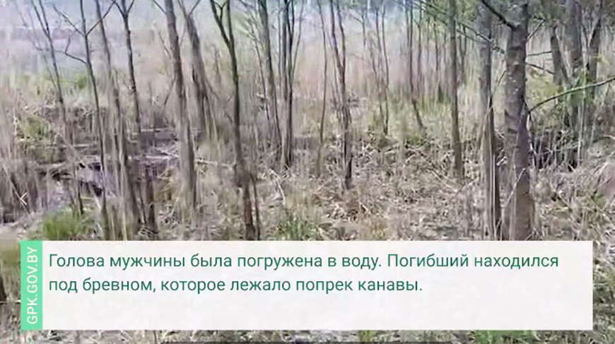 ГПК: труп беженца обнаружен на границе с Латвией