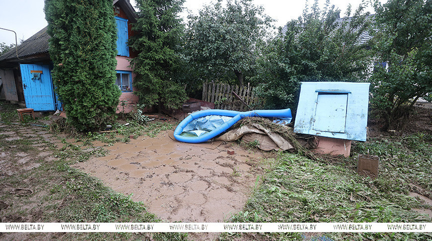 Ливневый дождь в Гродненской области: подтоплены приусадебные участки и дома, пострадал урожай на частных подворьях