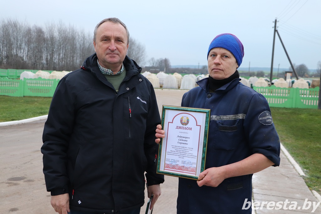 На Берестовитчине определили лидеров по надоям