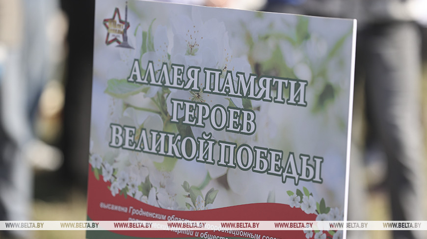 Аллея Памяти героев Великой Победы появилась в молодом микрорайоне Гродно