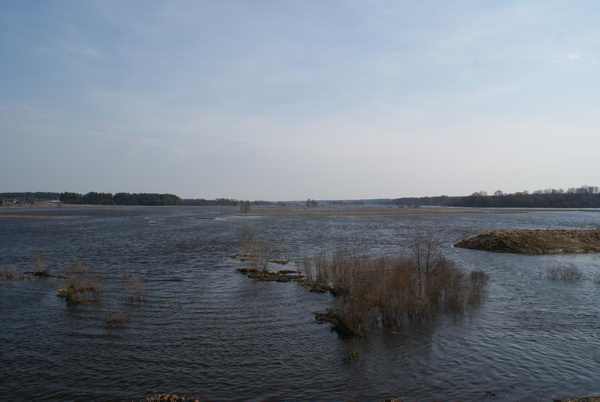 Если придет   паводок