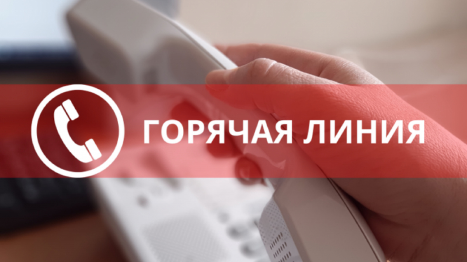Стартовал основной этап вступительной кампании. "Горячая" линия КГК для абитуриентов и родителей продолжает работу