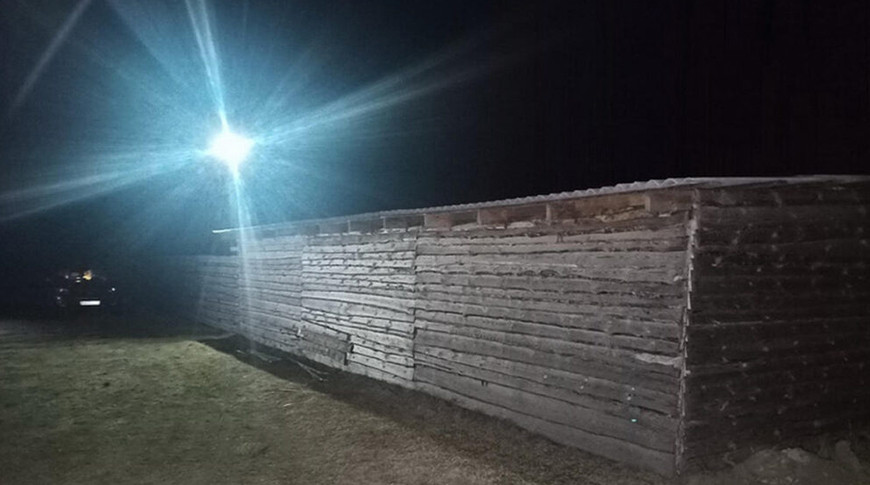 Бык затоптал фермера в Ивацевичском районе