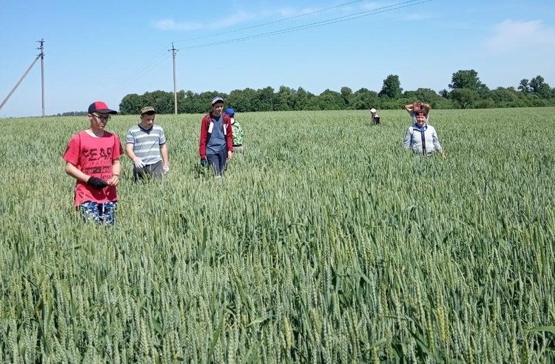 Олекшицкие школьники трудятся и отдыхают