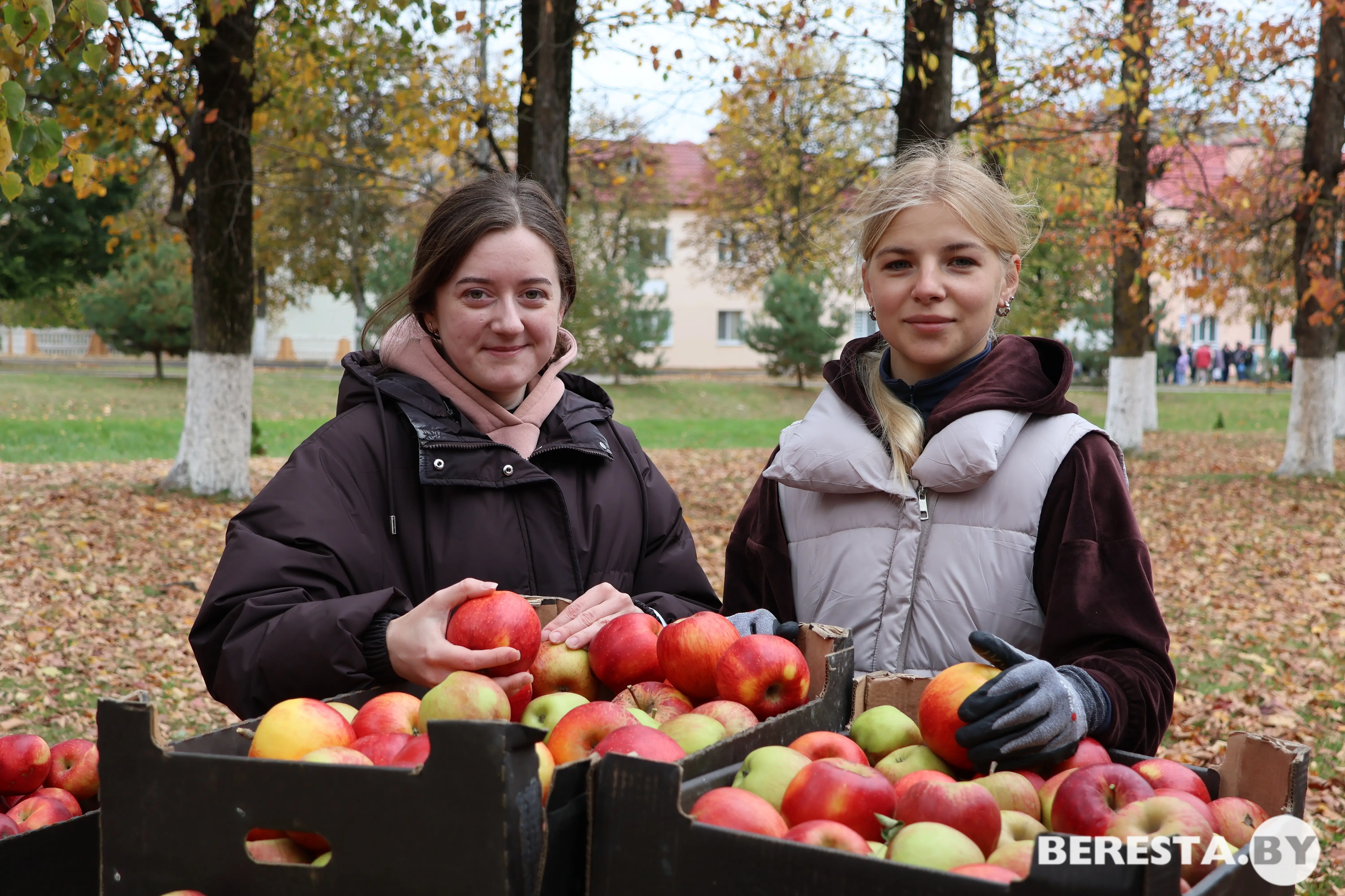 Осеннее изобилие. Сельскохозяйственная ярмарка «Золотая осень» прошла в Большой Берестовице