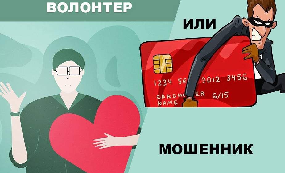Милосердие или бизнес? Рассказываем, на кого работают гродненские «волонтеры» и что за это имеют