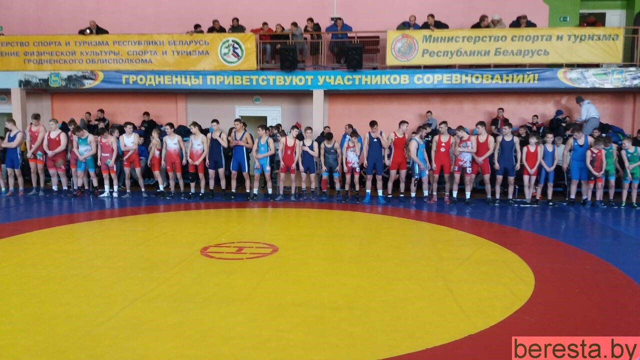 Берестовицкие борцы успешно выступили на республиканском турнире памяти Елкина