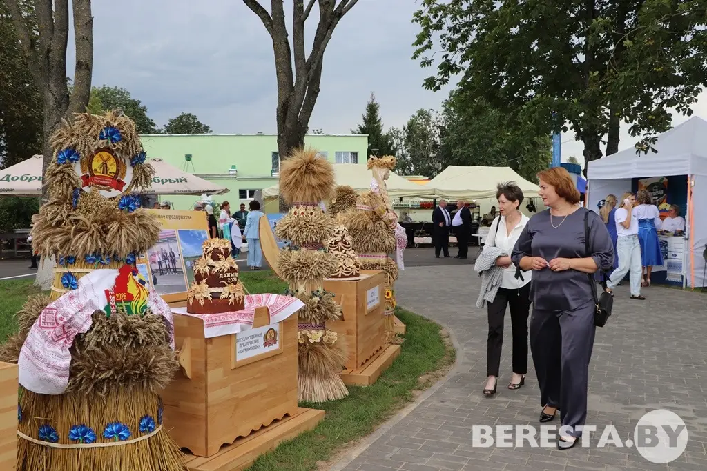 Ода щедрости земли. На празднике в Олекшицах организована выставка снопов и караваев