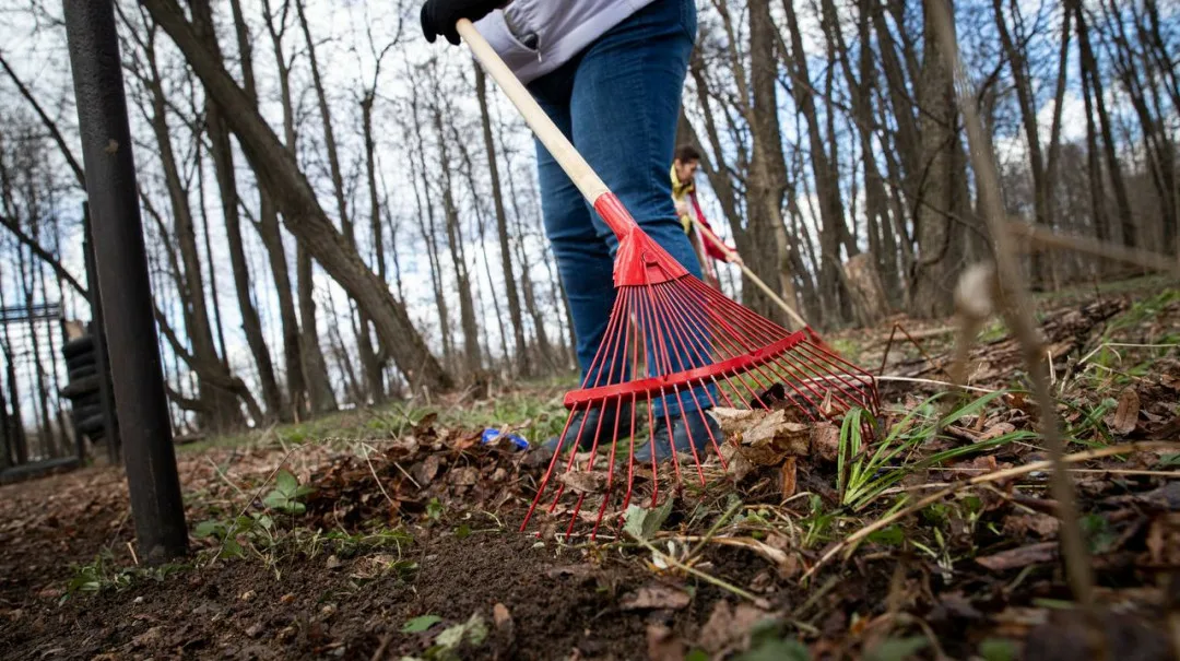 Минтруда напомнило правила безопасности при проведении республиканского субботника 