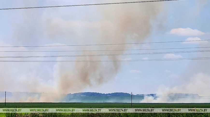 В поле под Гродно огонь уничтожил 76 тонн соломы
