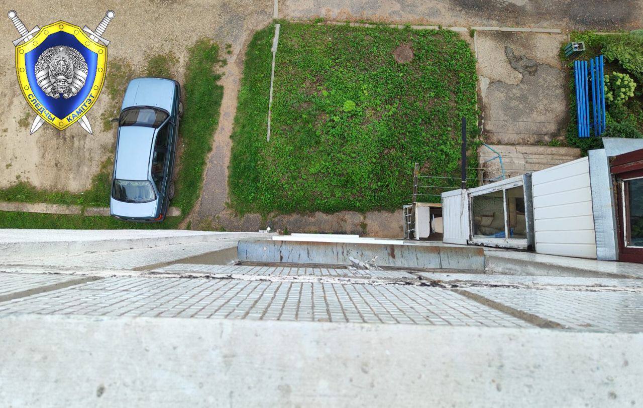 <strong>В Поставах женщина выбросила кота из окна пятого этажа: возбуждено уголовное дело</strong>