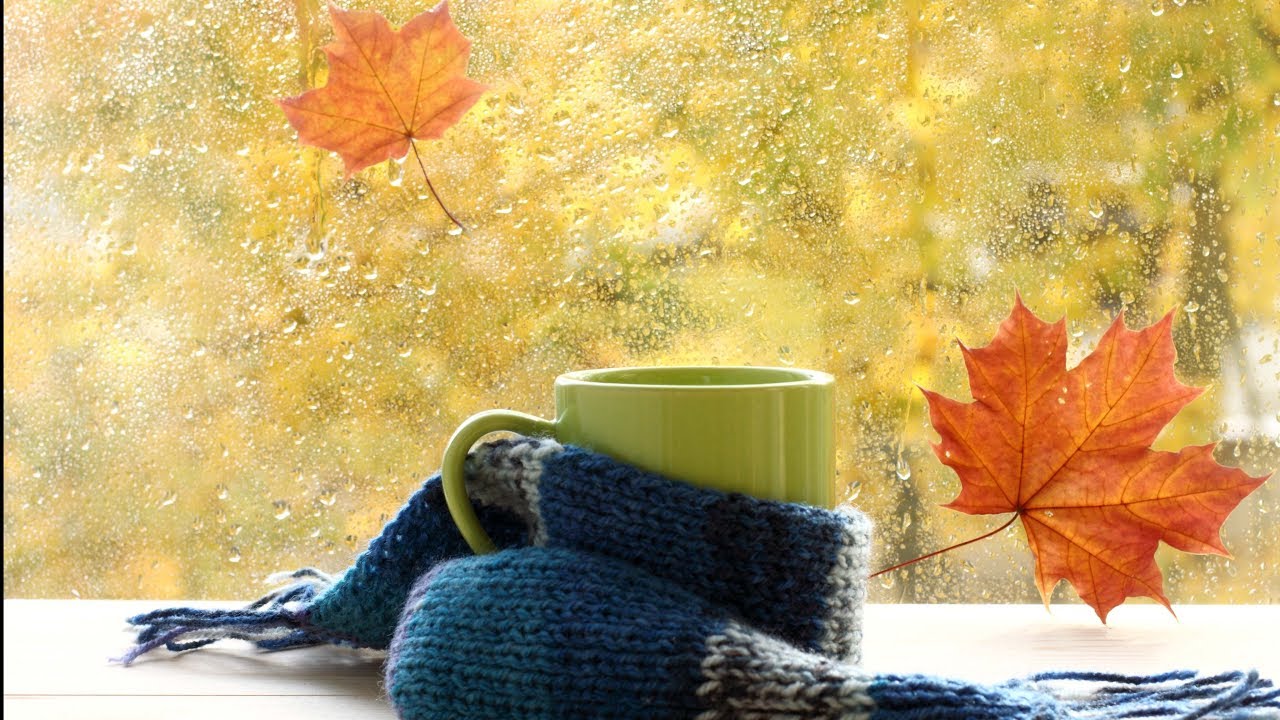 Позаботьтесь осенью о своем здоровье