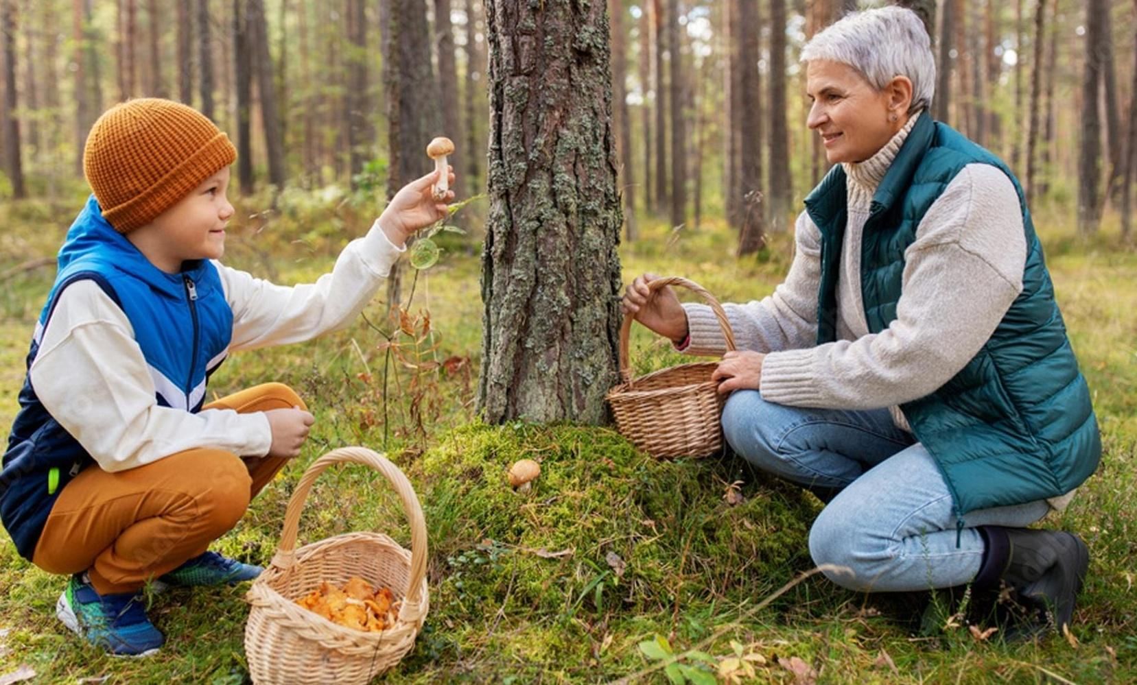Чтобы не отравиться грибами