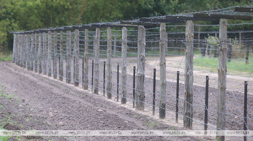53 жертва европейской колючки: на границе с Литвой обнаружен павший лось