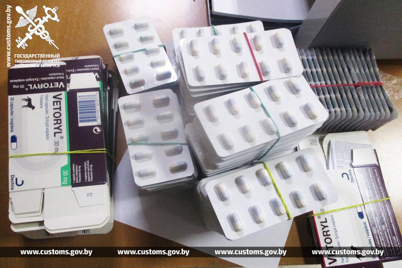 Гражданки Беларуси, прибывшие из Польши, спрятали от таможенного контроля коммерческую партию ветеринарного препарата