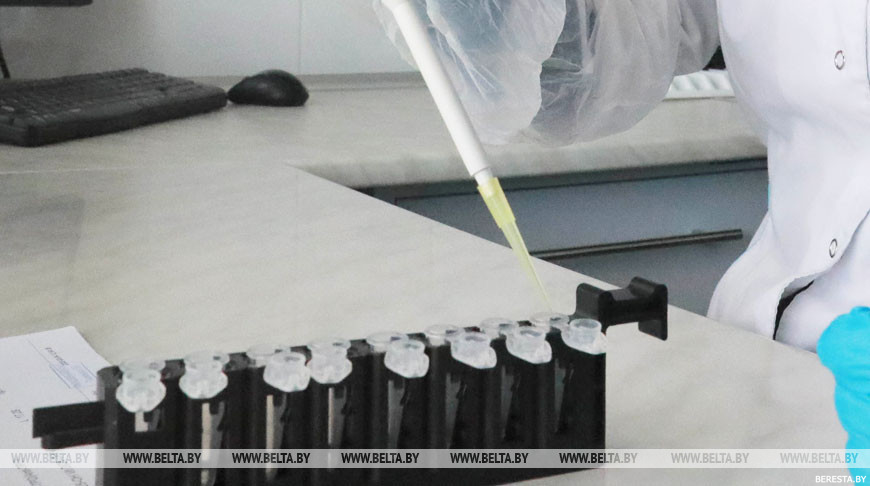 Информация о смерти от коронавируса в Беларуси является ложной - Минздрав