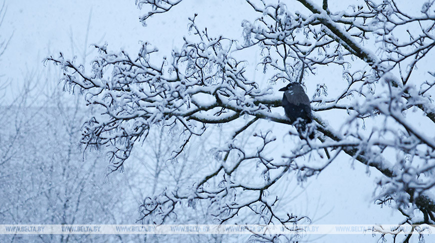 Красный уровень опасности объявлен в Беларуси 9 января