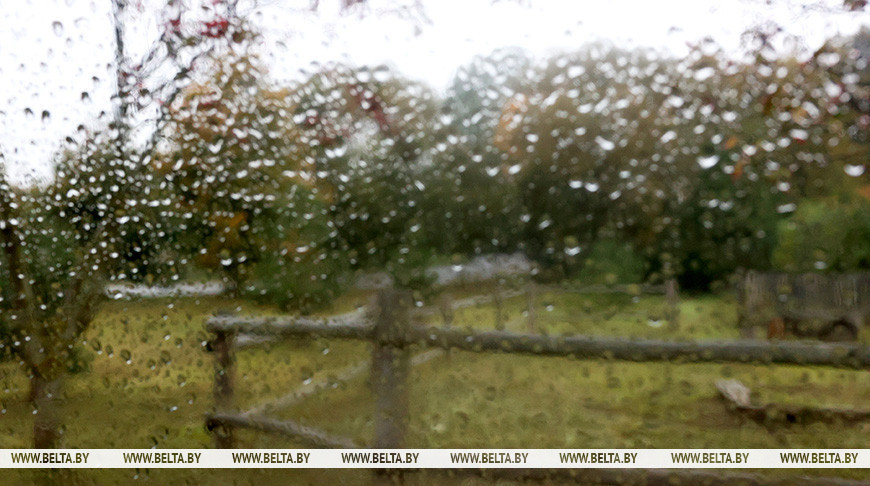Дожди и до +14°С ожидается в Беларуси 30 сентября