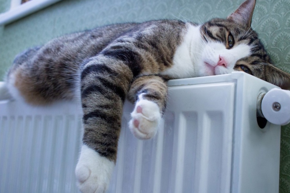 Когда в Беларуси отключат отопление?