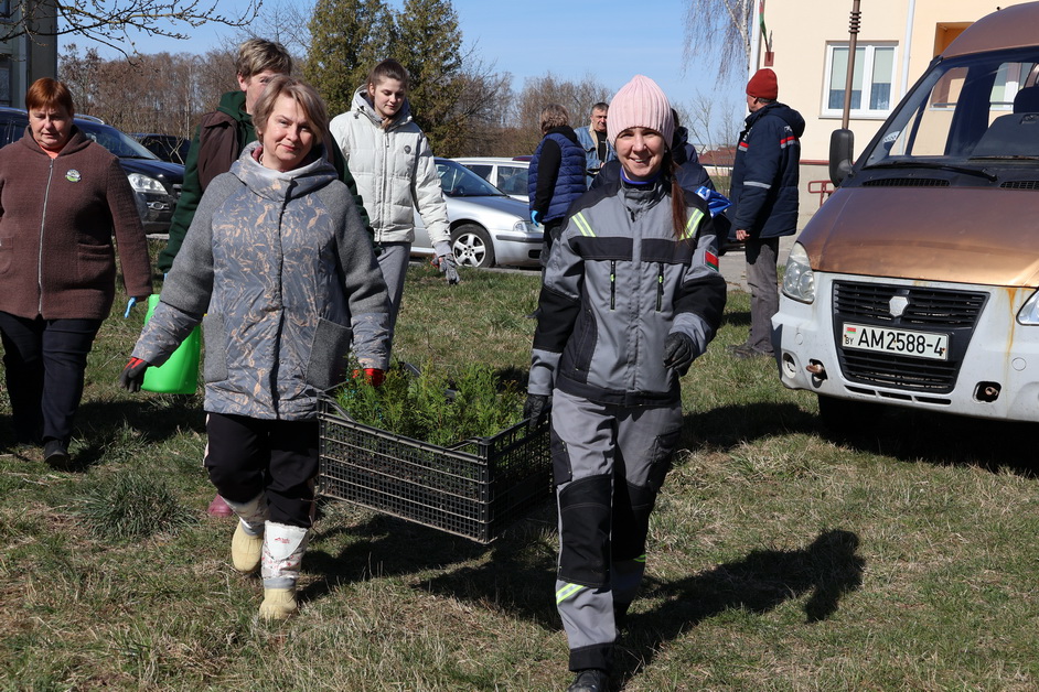 Аллея Мира украсила агрогородок Старый Дворец