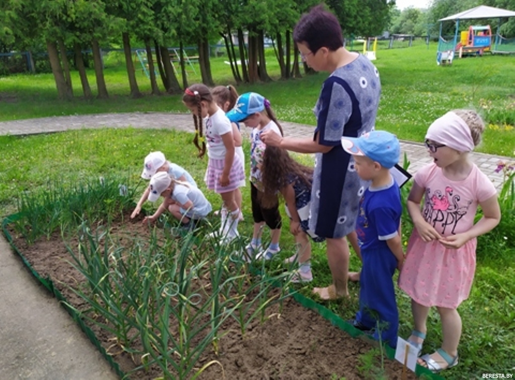 Пасадзілі агарод, паглядзіце, што расце! На тэрыторыі  ясляў-сада аг. Пагранічны створаны міні-агарод і кветнікі