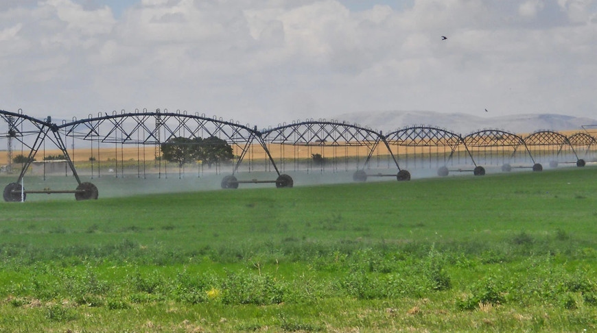 Первую отечественную дождевальную машину представит ММЗ на "Белагро-2025"