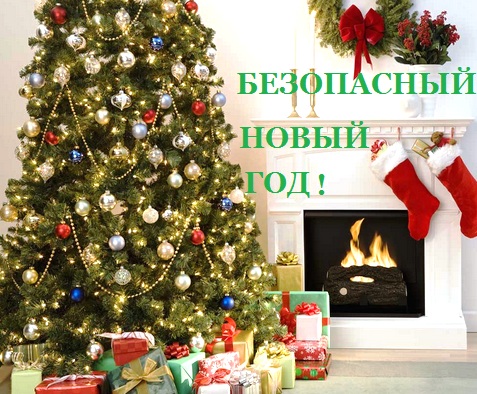 В Берестовицком районе началась акция «Безопасный Новый год!»