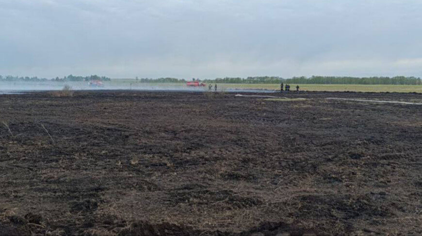 Минприроды рассказало подробности торфяного пожара в Кореличском районе
