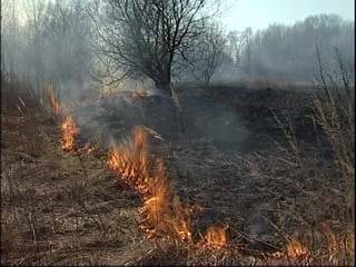 Жечь траву – очень накладно