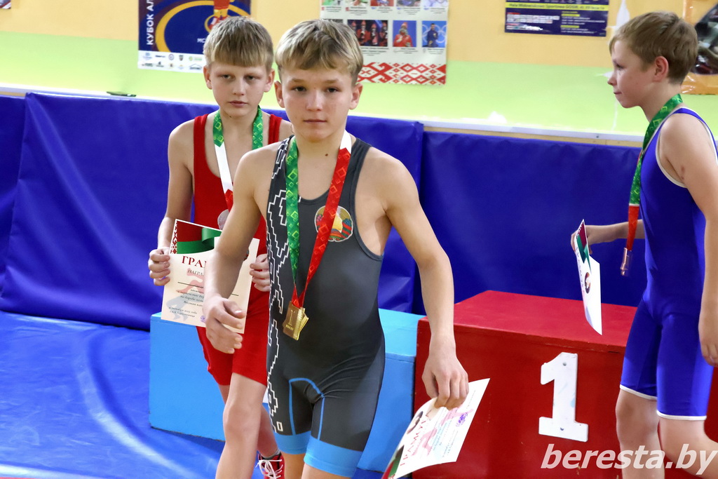 На Берестовитчине прошло районное первенство по вольной борьбе