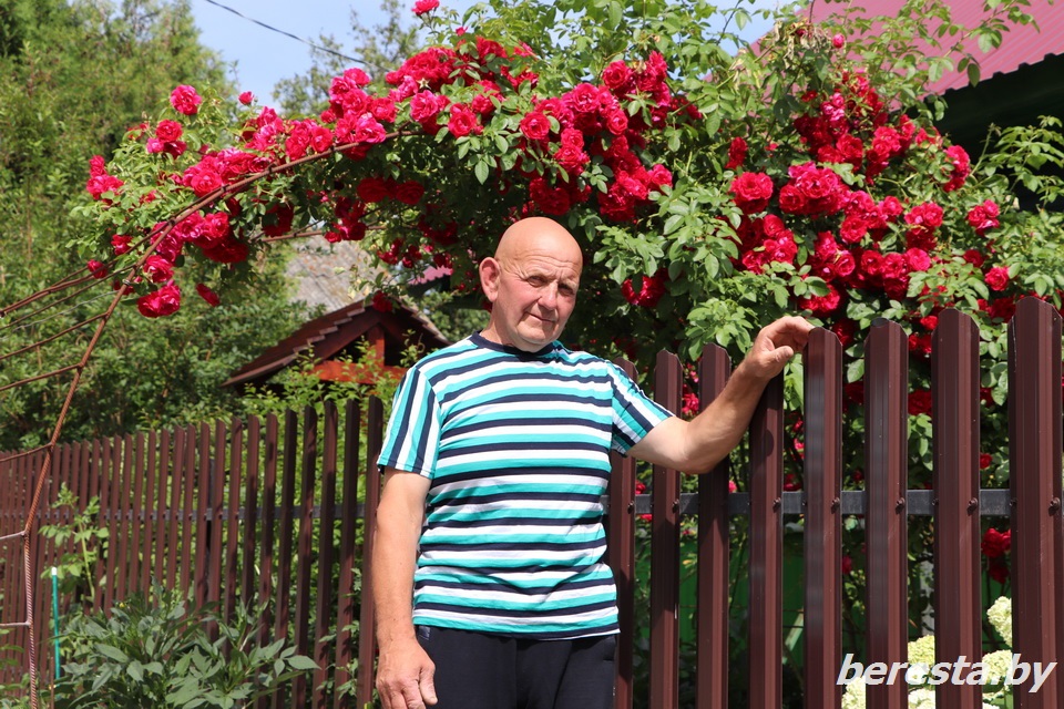 Берестовичанин Валентин Данильчик увлекается выращиванием роз