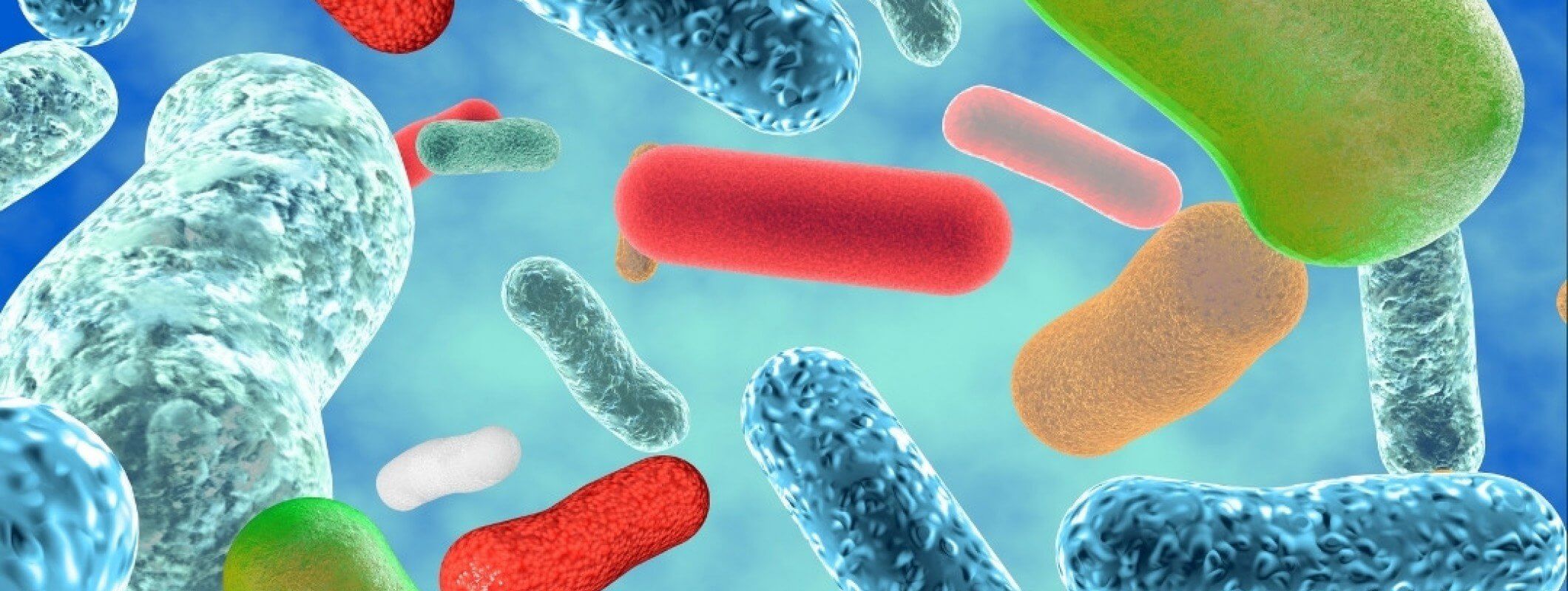 Весенний паводок может привести к инфекционным заболеваниям