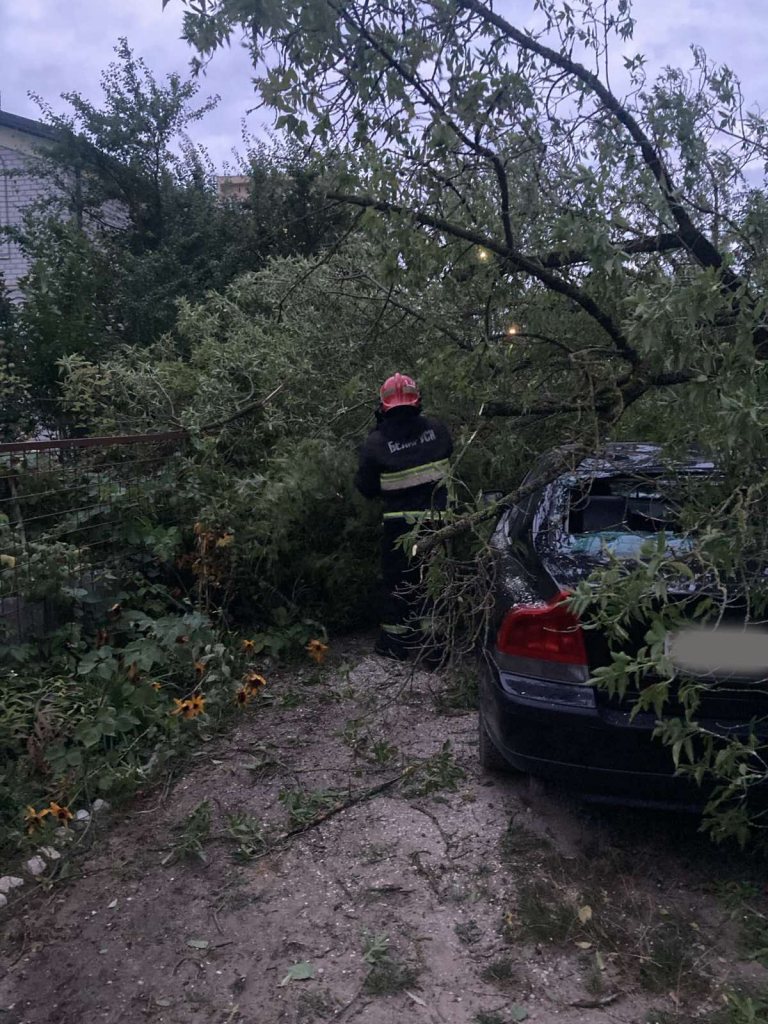 Спасатели региона оказывают помощь в устранении последствий непогоды