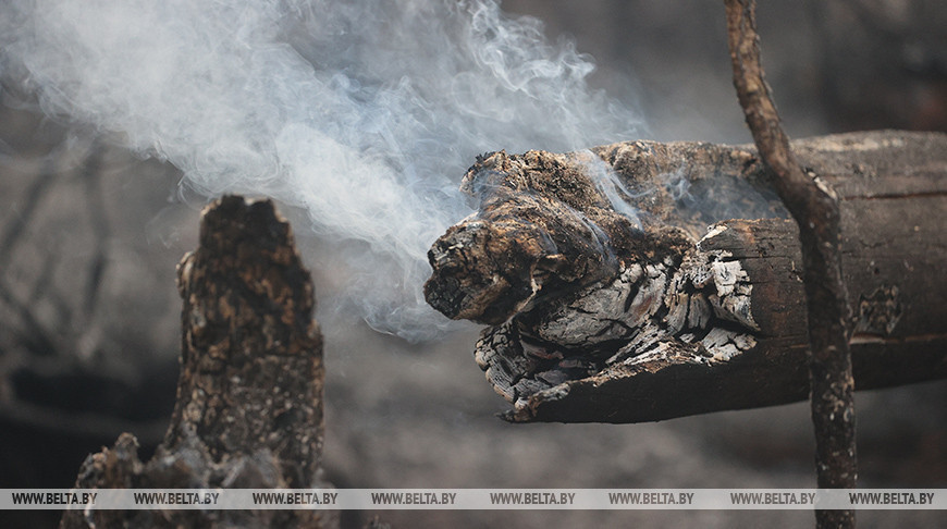 Более 40 пожаров в природных экосистемах ликвидировали в Беларуси за сутки