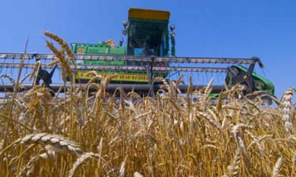 О подготовке  к проведению уборки урожая зерновых  в Берестовицком районе