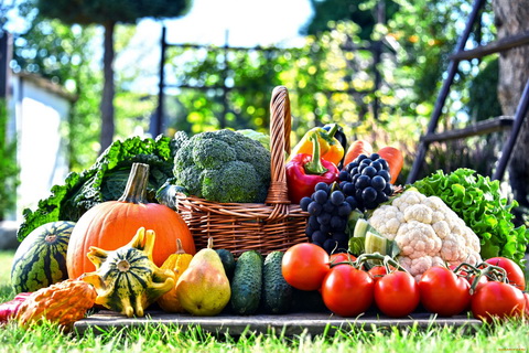 Огурцы — от 1 до 1,2 рубля, черника — от 3,5 до 5,5 рубля за кило: Белкоопсоюз озвучил закупочные цены